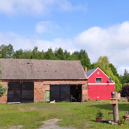 Ferienwohnung & Campingplatz Vor Dem Berg Heideblick Exteriör bild