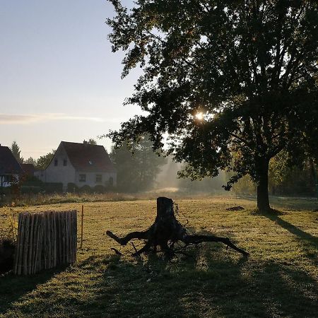 Ferienwohnung & Campingplatz Vor Dem Berg Heideblick Exteriör bild