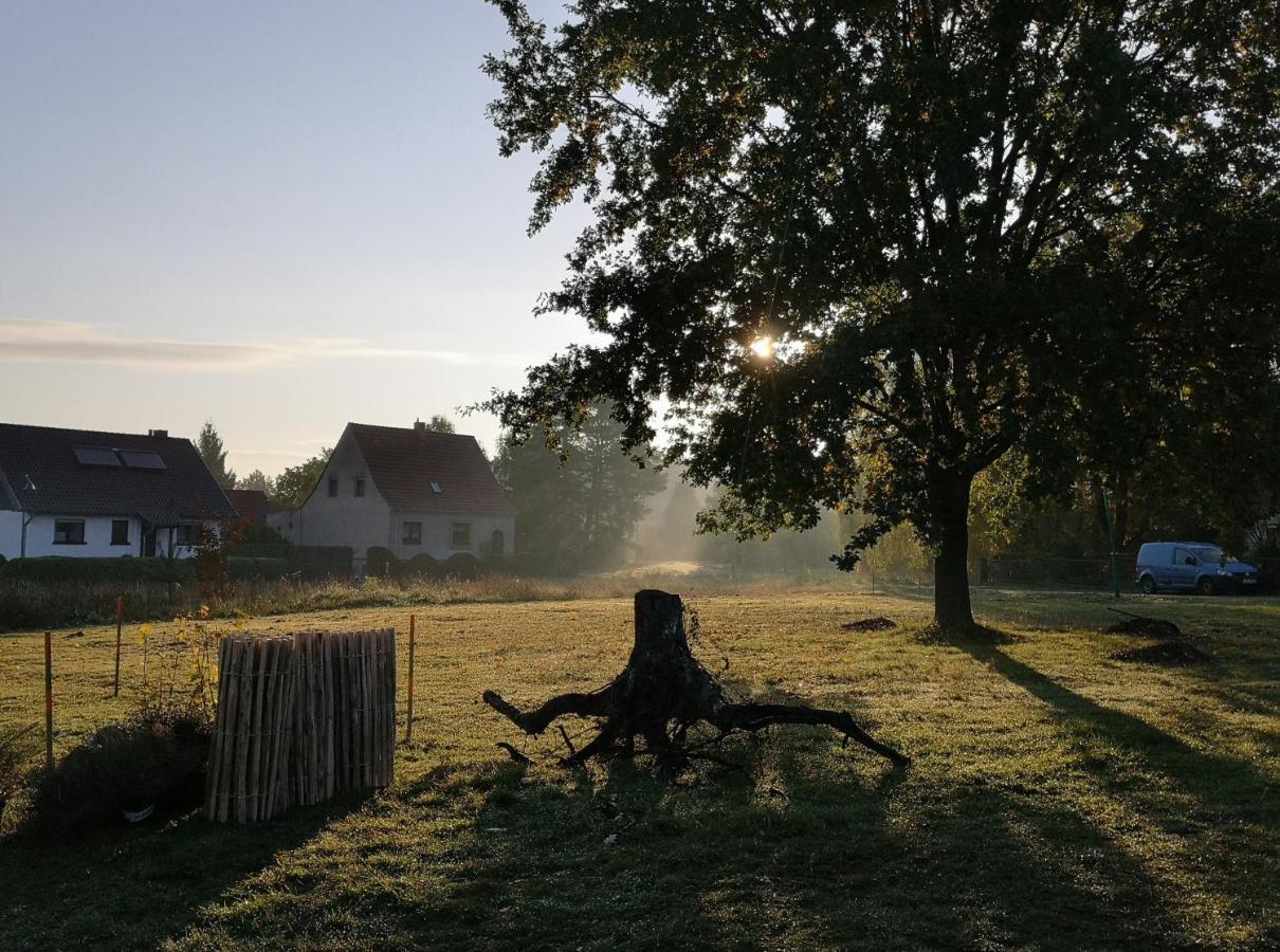 Ferienwohnung & Campingplatz Vor Dem Berg Heideblick Exteriör bild